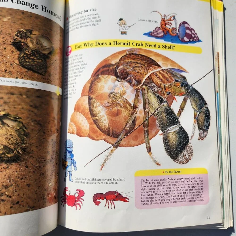 Life in the Water Child's First Library of Learning Science Stem Book Homeschool
